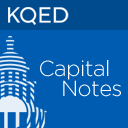Capital Notes