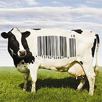 Die Weltlandwirtschaft könnte problemlos 12 Milliarden Menschen ernähren. Das heißt, ein Kind, das heute an Hunger stirbt, wird ermordet.