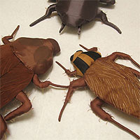 Large Image
