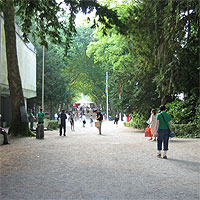 Large Image