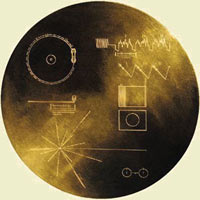 Large Image