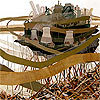 KQED: Gallery Crawl - Amy Casey
