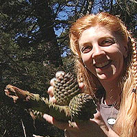 Find the Song in Nature with Cheryl E. Leonard