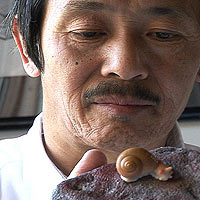 Discover the Stone Sculptures by Lu Huan