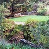 Botanical Garden Tours in Tilden Regional Park