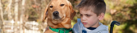 Through a Dog's Eyes