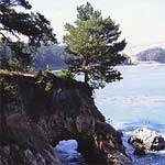 Monterey coast