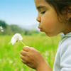girl with dandelion