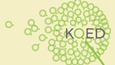 eco literacy logo