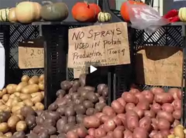 potatoes for sale