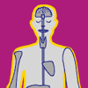drawing of human body