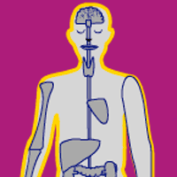 illustration of human body