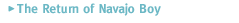 The Retrun of Navajo Boy