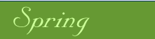 Spring menus and recipes