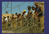 men with fishing net