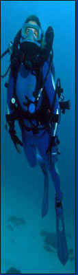 a diver