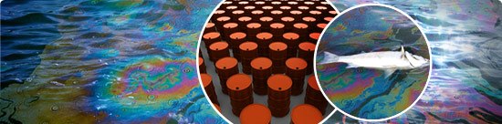 photo montage: ocean waves, oil slick, barrels of oil, dead fish